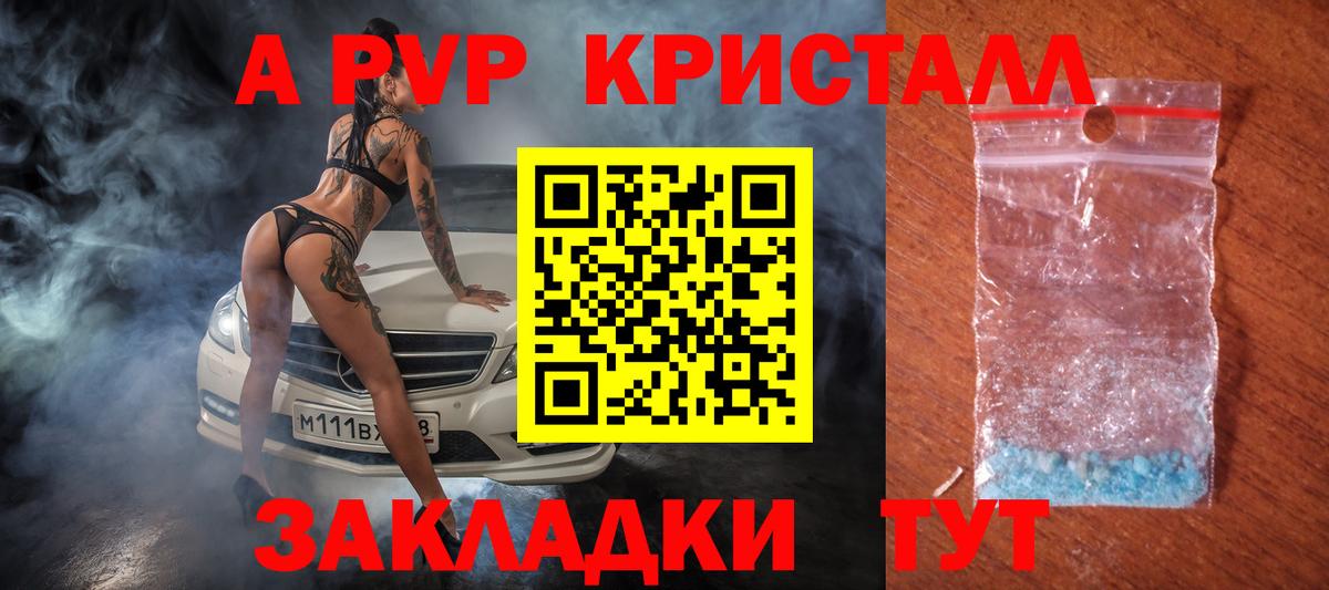 A-PVP СК Курчалой
