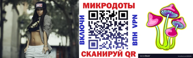 Галлюциногенные грибы MAGIC MUSHROOMS  мориарти Telegram  Курчалой  mega ССЫЛКА 